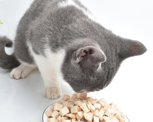 猫咪能否食用生鸡肉（探究猫咪食用生鸡肉的利弊和注意事项）