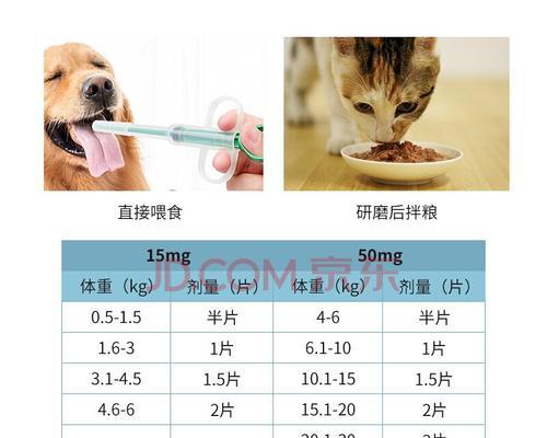 猫咪消炎药使用攻略（宠物健康必备）