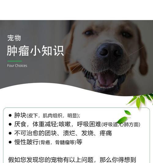 狗狗脂肪瘤的治疗方法（保护你的宠物健康）