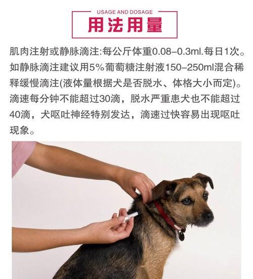 如何预防狗的犬疫热（宠物狗的健康必备知识）