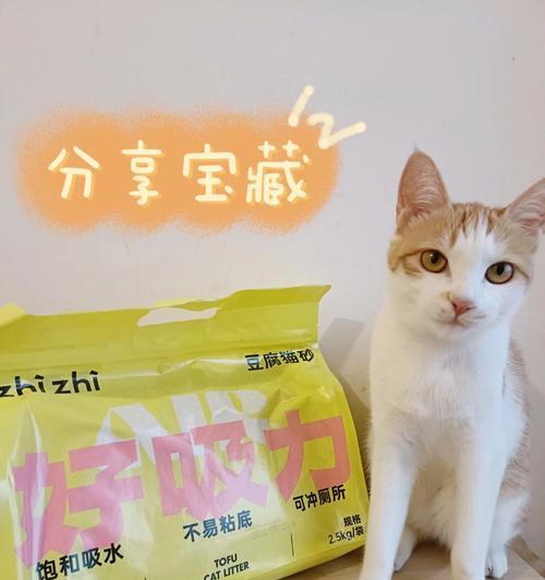 猫咪的骨骼健康（宠物猫咪的骨骼健康关系到它的一生幸福）