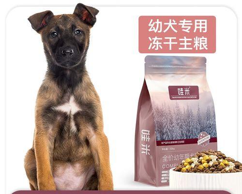 如何控制宠物狗的饮食量（以马犬为例）