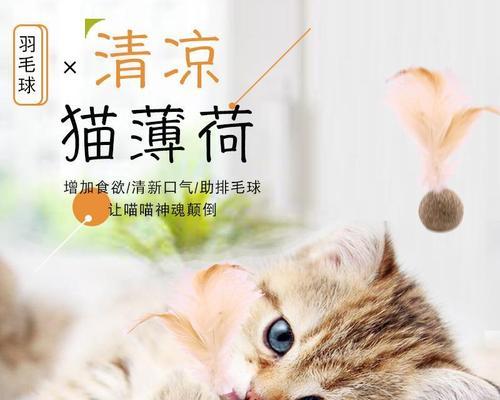 猫薄荷小猫可以吸吗（探究猫薄荷对猫咪的影响及注意事项）