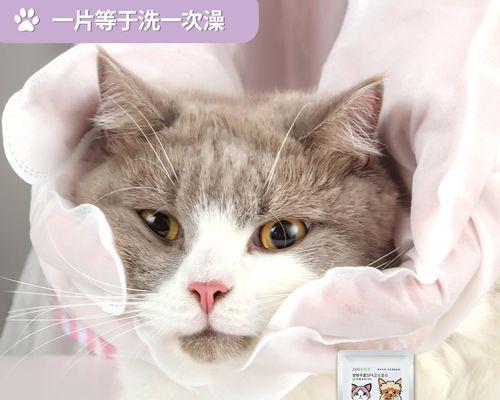 猫妈妈吃了生产完的小猫，这到底是为什么（探究宠物猫吃小猫的行为）