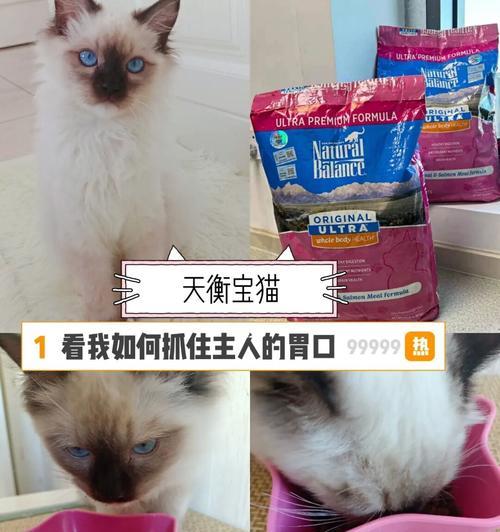 如何选择适合猫咪的猫粮（猫粮的种类）