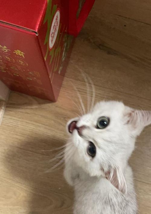 猫为什么会打喷嚏（探究猫咪打喷嚏的原因及应对措施）