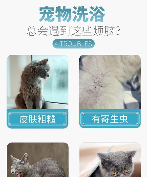 猫咪螨虫治疗方法详解（以宠物为主的螨虫防治措施）