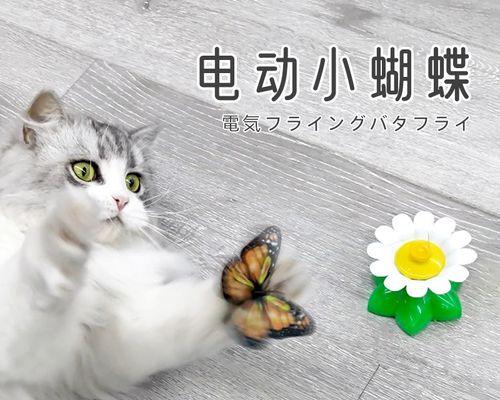 如何处理宠物猫骨头出来的情况（处理方法）