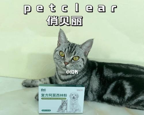 猫老咳嗽该吃什么药（宠物护理必看）