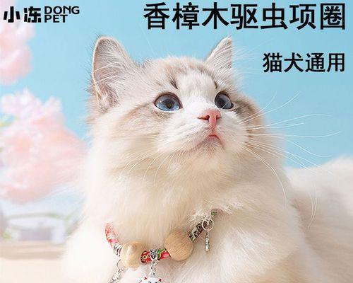 猫咪跳蚤防治指南（如何让宠物远离跳蚤）