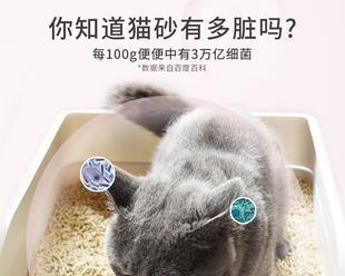 猫砂盆小狗能用吗（探究使用猫砂盆训练小狗的实用性与有效性）