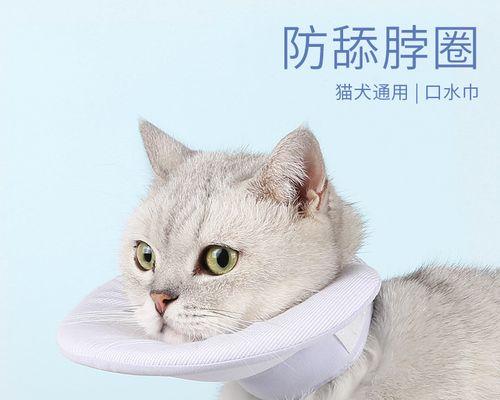 宠物猫咬人事件的反思（以猫咬人说明主人的责任）