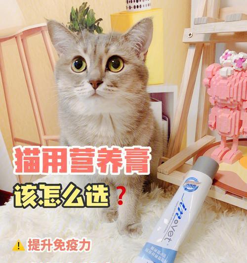 宠物猫每天应该吃多少营养膏（探究猫咪的营养需求及如何正确喂养）