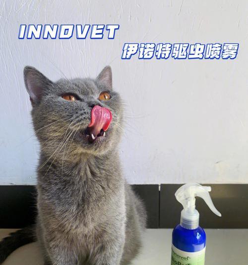 猫有虫子怎么办（以宠物为主）