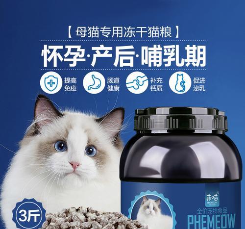 猫咪哺乳期该注意什么（了解宠物药品使用）