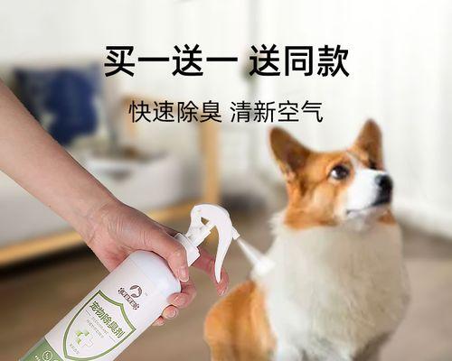 实用技巧帮您解决猫咪大小便问题（实用技巧帮您解决猫咪大小便问题）