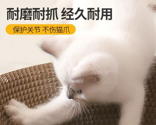 猫咪不磨爪子的危害（为什么猫咪不能不磨爪子）