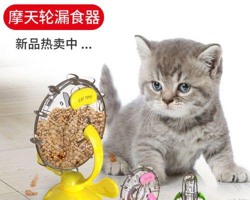 如何应对宠物猫不能吃饭的情况（针对宠物猫食欲不振）