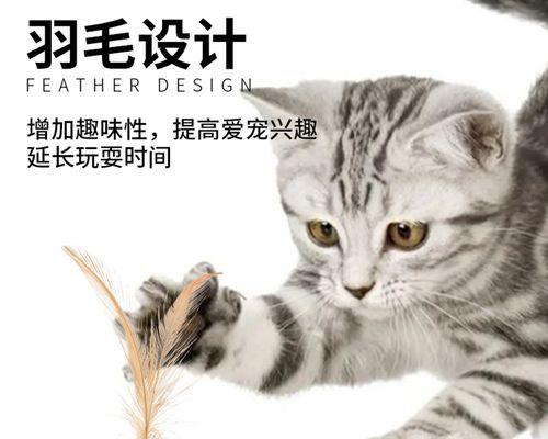 猫咪玩具，陪伴宠物的好帮手（给猫咪们的最佳玩具推荐）