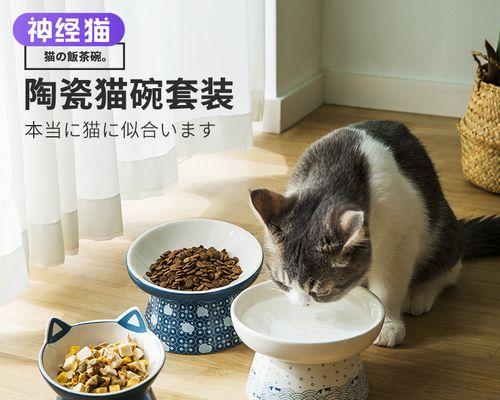 猫咪保护人类，靠谱的宠物伙伴（探究猫咪如何保护人类）