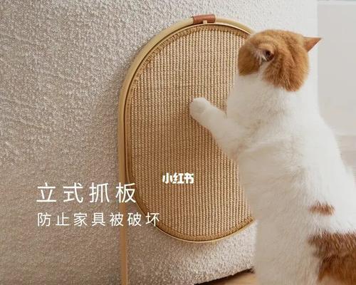 猫咪抓板，多久开始（宠物保健必知）