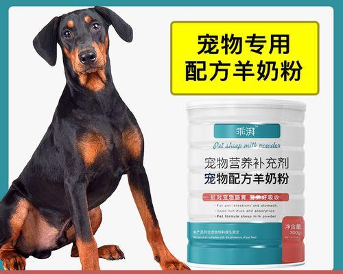 成犬转让故事——新主人接手后需要注意的事项（宠物交换过程及适应新环境的方法）