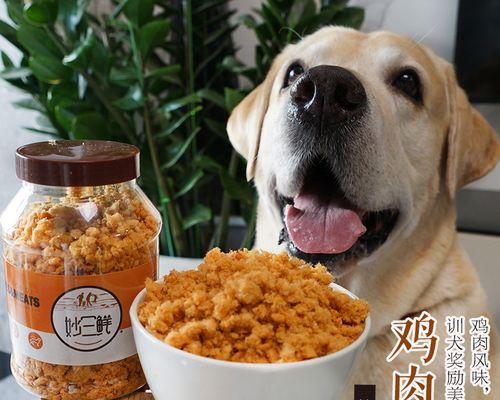 成犬也可以经常换狗粮吗（探究狗粮更替的重要性及注意事项）