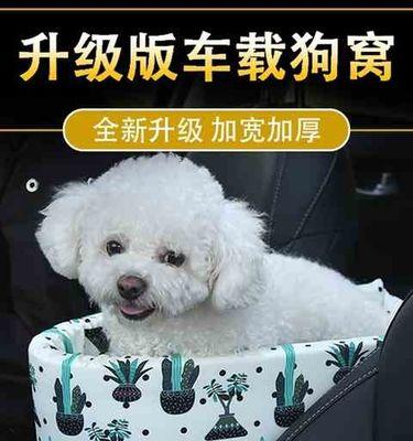 安全带猫上车，必备用品一览（出行必不可少）