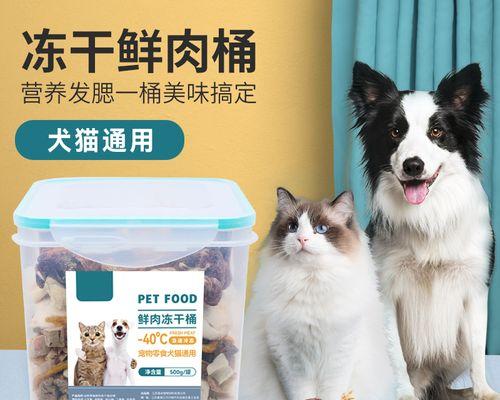 猫咪的第一餐，你知道该喂多少猫粮吗（如何为宠物猫咪提供适当的食物）