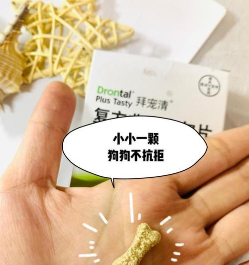 狗狗不吃打虫药怎么办（宠物主人必看）