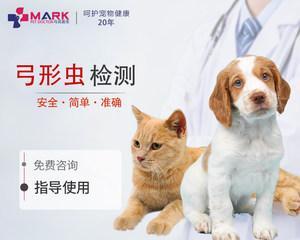 宠物犬的健康问题——狂犬病和弓形虫病的防治（让你的爱犬健康快乐）