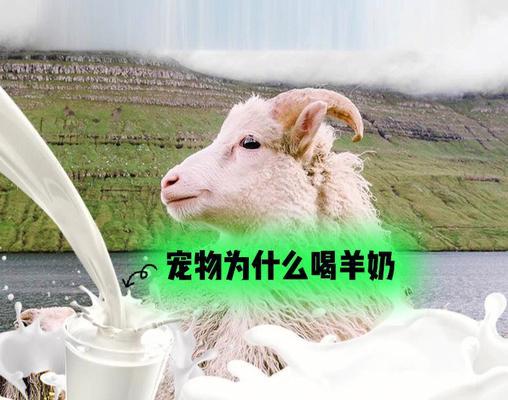 狗狗羊奶开封后能放多久（羊奶对宠物的益处）