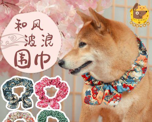 如何挑选健康的宠物犬（以买狗为例）