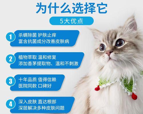 以猫长皮肤病吃什么药好？解析不同药物的作用和使用方法