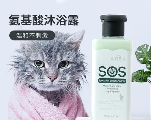 关于宠物猫洗澡用沐浴露的选择（如何选择适合宠物猫使用的沐浴露）