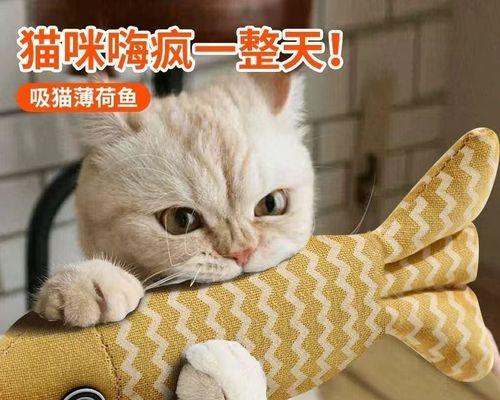 为什么猫咪不喜欢逗猫棒（探寻猫咪对逗猫棒不感兴趣的原因及解决方法）