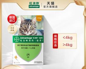 如何正确使用猫咪福来恩滴剂（以半剂量为重）