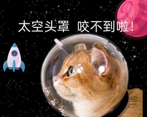 猫咪生产前后需要注意的重要事项（给爱猫准备一次顺利的生产）