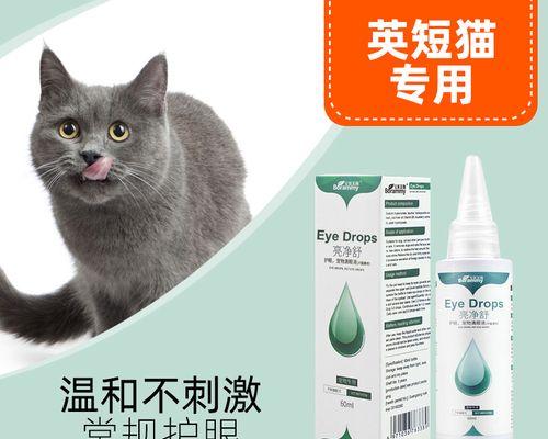 猫咪眼角有异物怎么办（宠物猫咪需要你的帮助）