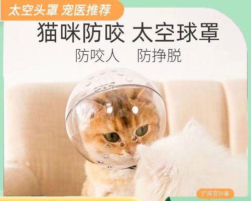 小猫不能洗澡，脏怎么处理？