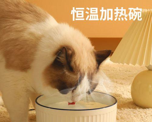 如何正确给宠物猫喂开水？