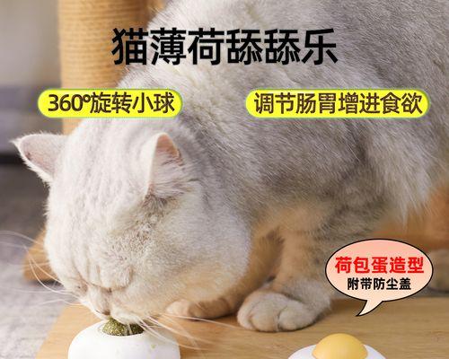 小猫可以吃煮熟的鸡蛋吗？