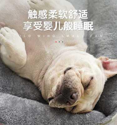 如何选择适合新生幼犬的底下垫？