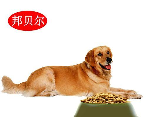 宠物爱好者必读，了解阿拉斯加犬的饮食之道（宠物爱好者必读）