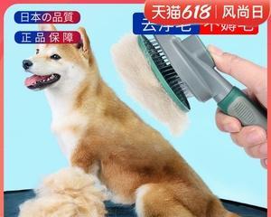 阿拉斯加犬针梳（掌握针梳技巧）