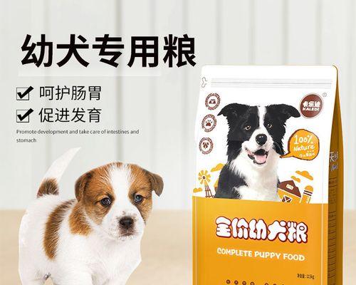 边境牧羊犬幼崽的饮食需求