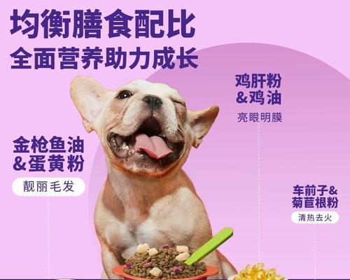 以鱼肉粮为主，怎么提升宠物博美狗的健康？