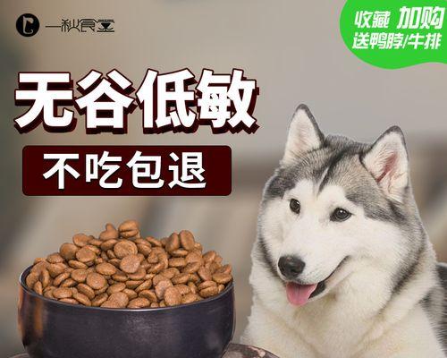 如何科学喂养你的博美犬？