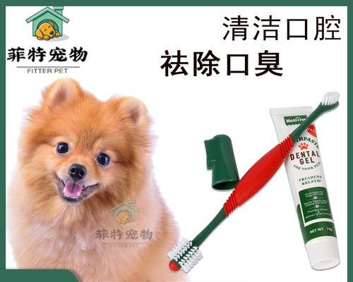 博美狗小型犬笼子怎么进行宠物护理？