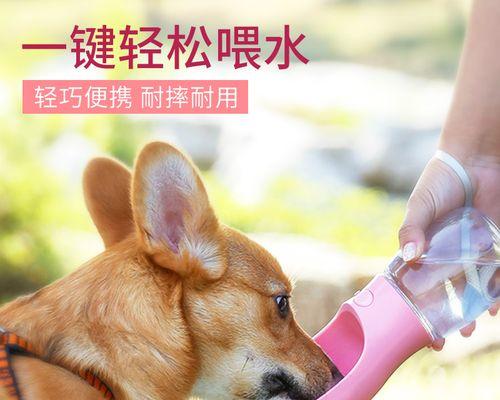 狗狗喝水多排尿少的原因与解决方法（探究宠物犬喝水多、尿尿少的现象）